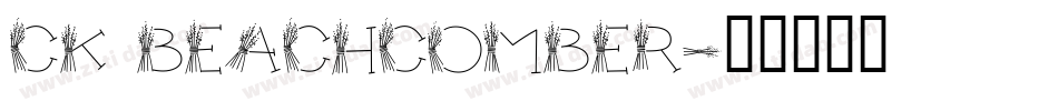 CK Beachcomber字体转换